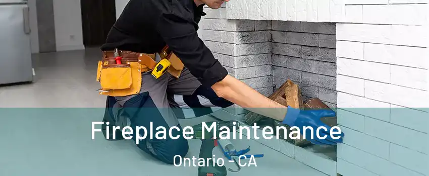Fireplace Maintenance Ontario - CA
