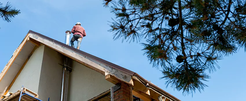Birds Removal Contractors from Chimney in Ontario, CA